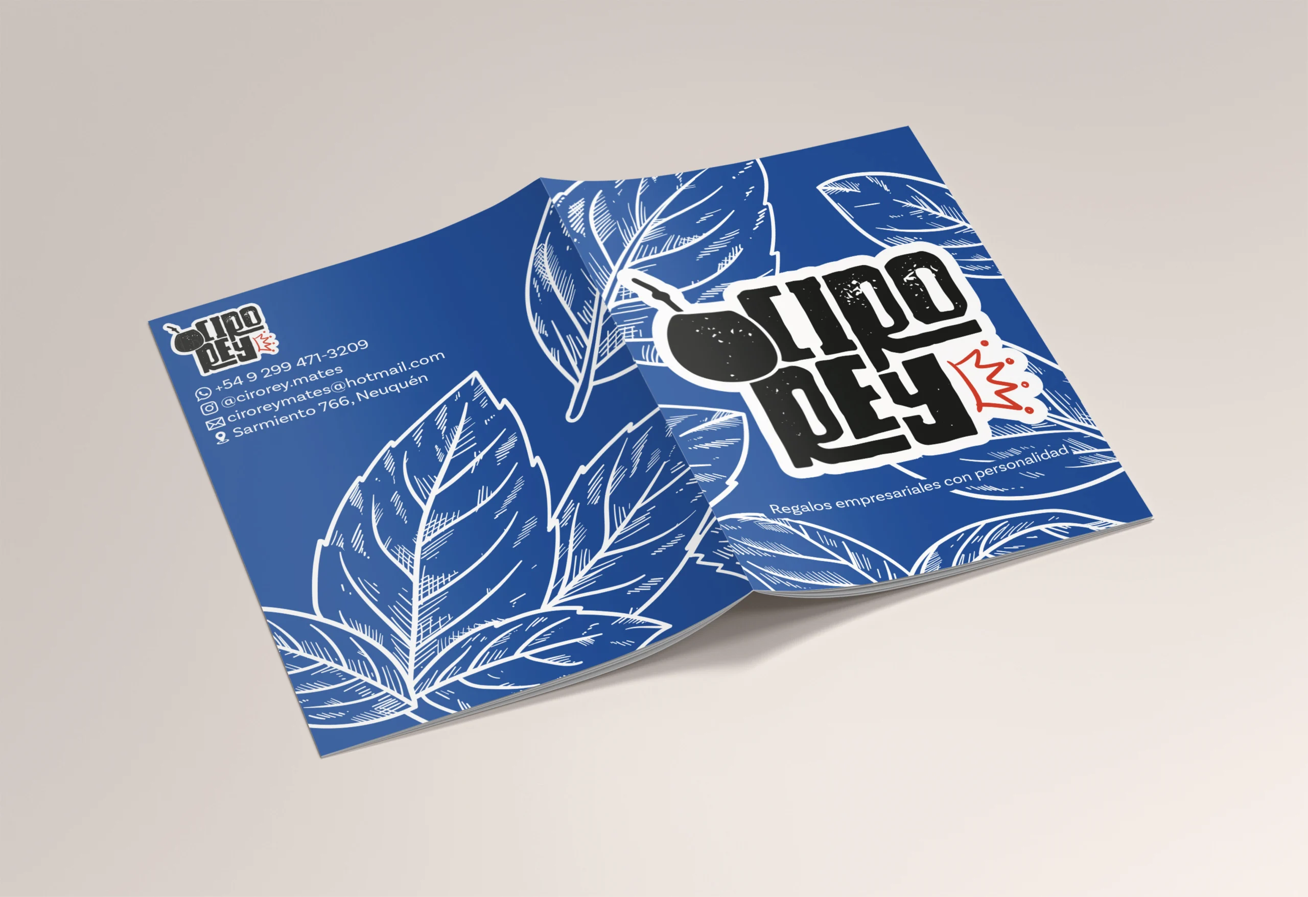 Brochure Ciro Rey